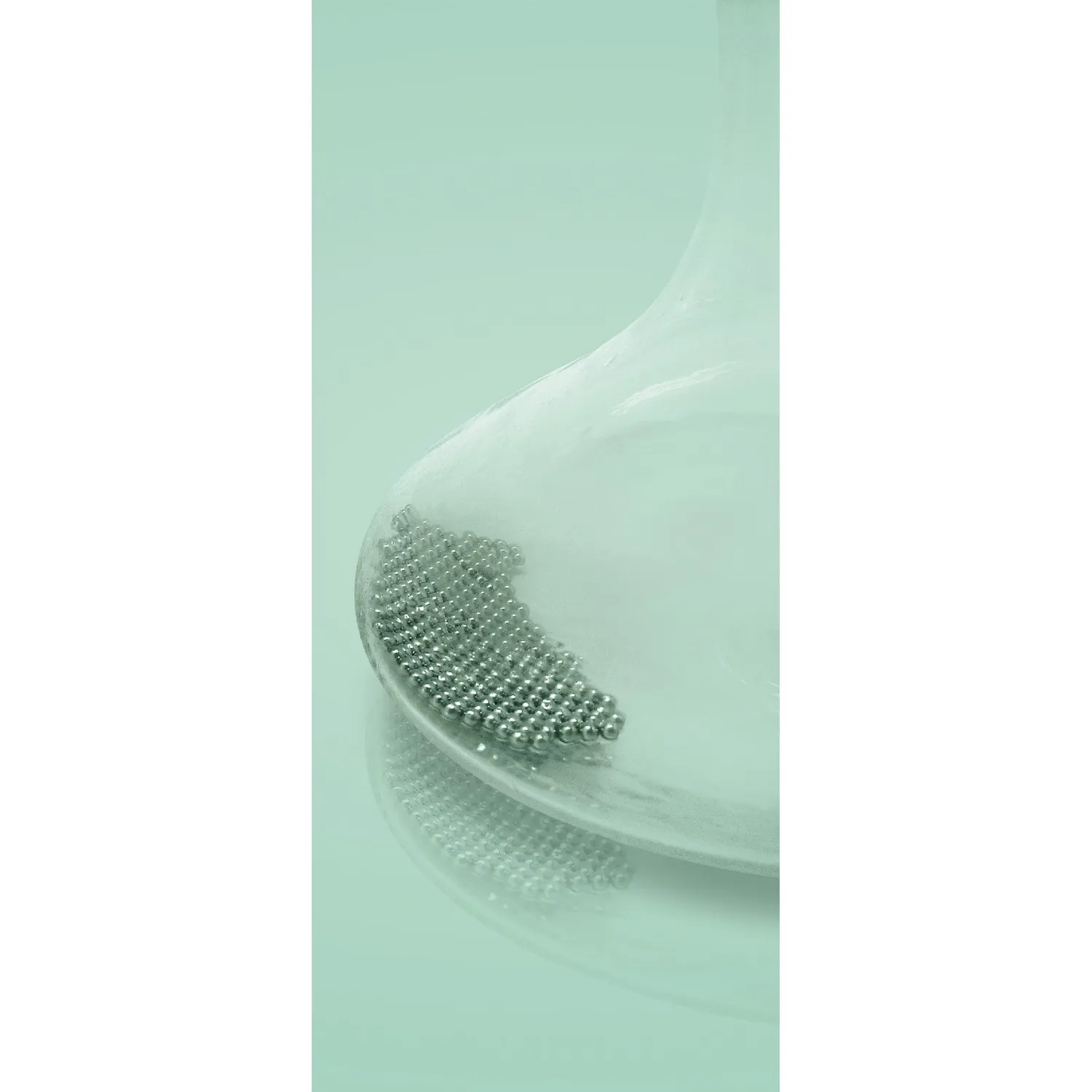 VinBouquet Palline Pulizia Decanter Acciaio Inox