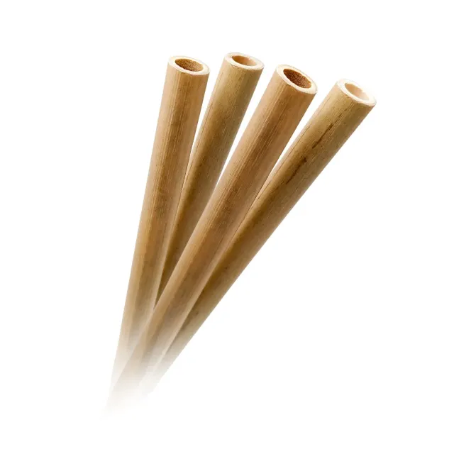 VinBouquet Set Cannucce Bambù 20 cm Riutilizzabili con Scovolino