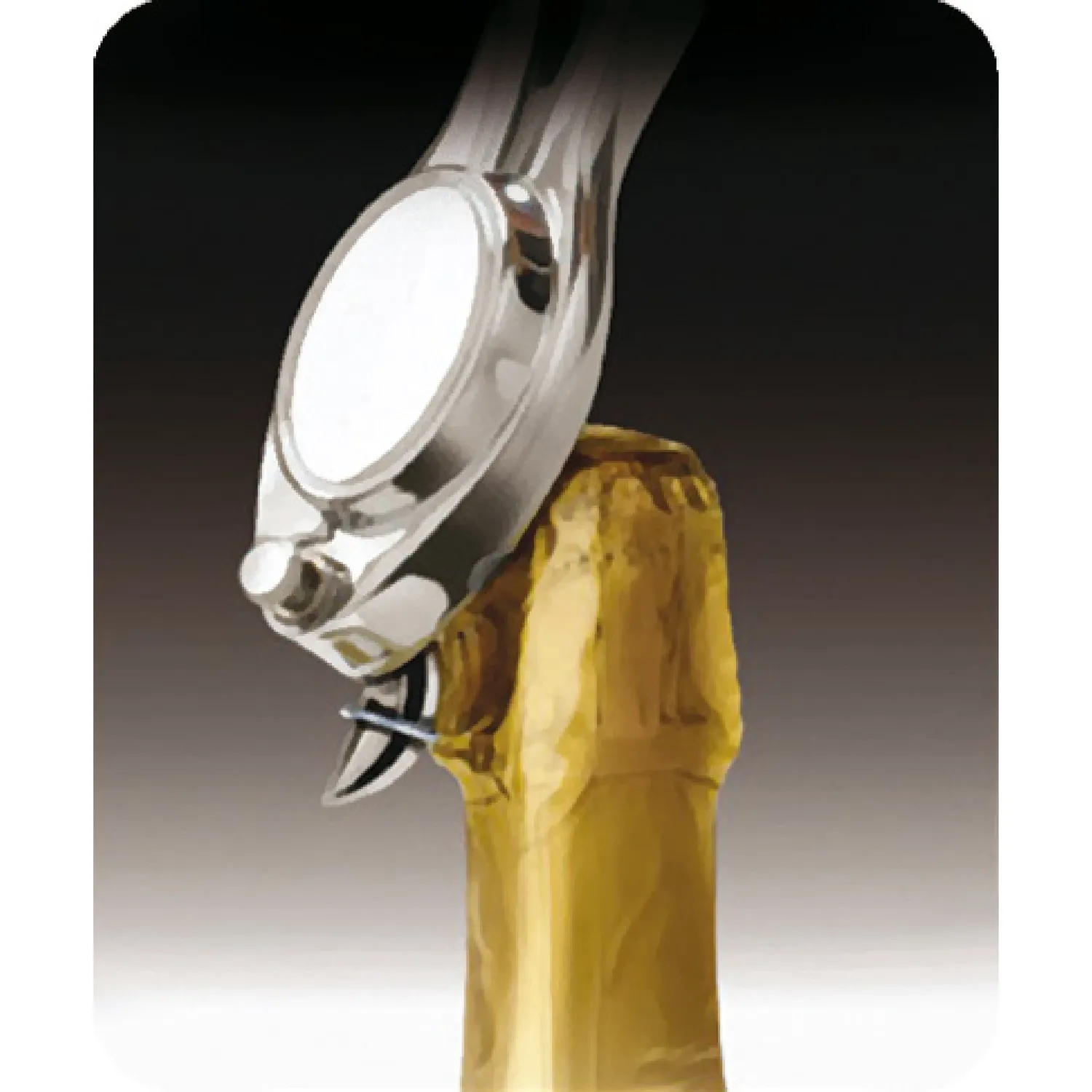 VinBouquet Apribottiglie Spumante Inox Anti-spruzzo