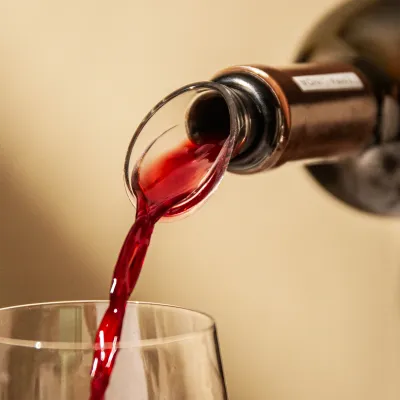 Vacuvin Wine Server Versatore Vino Antigoccia 2 Pezzi