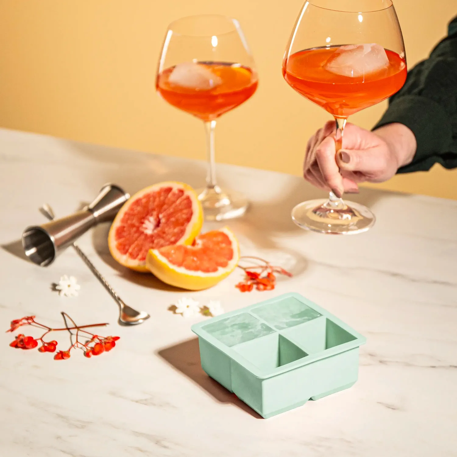 Vacuvin Stampo Ghiaccio Cubetti Silicone Alimentare