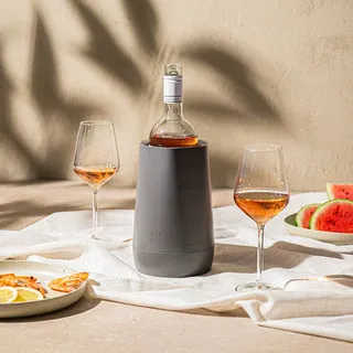 Vacuvin Hexo Glacette Vino senza ghiaccio