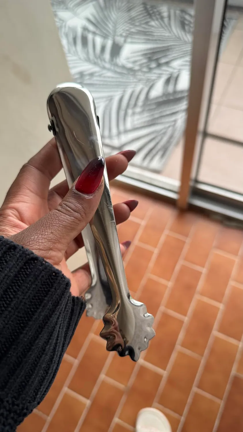 Vin Bouquet FIK 302 Pinza Ghiaccio Acciaio Inox a Molla