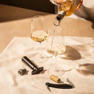 Vacu Vin Wine Set Start set vino regalo