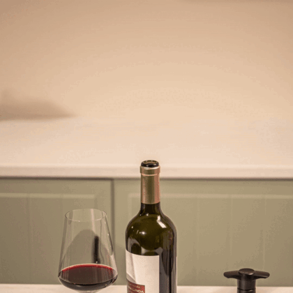 Vacuvin Original pompa vino sottovuoto nera 2 tappi