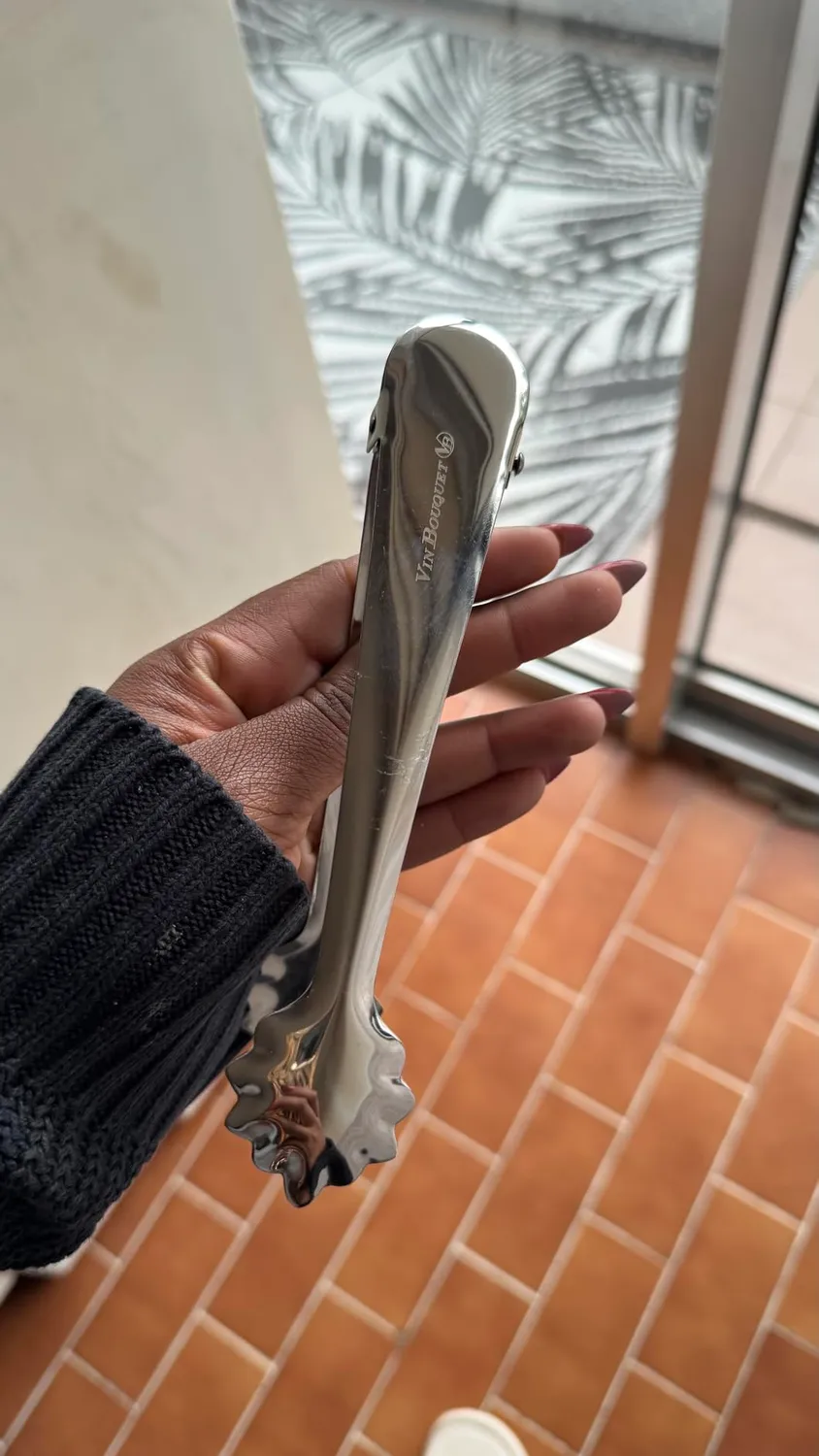 Vin Bouquet FIK 302 Pinza Ghiaccio Acciaio Inox a Molla