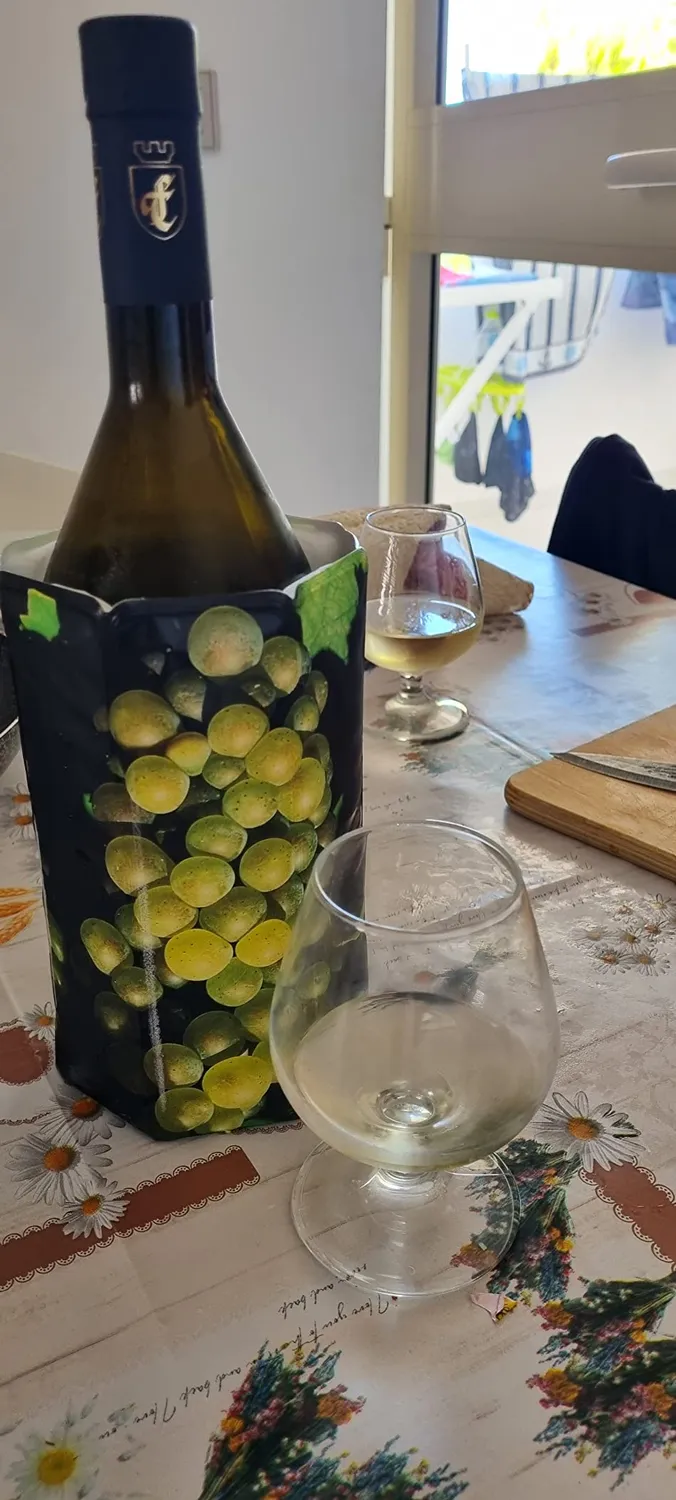 Vacuvin Raffreddatore Vino Flessibile manicotto